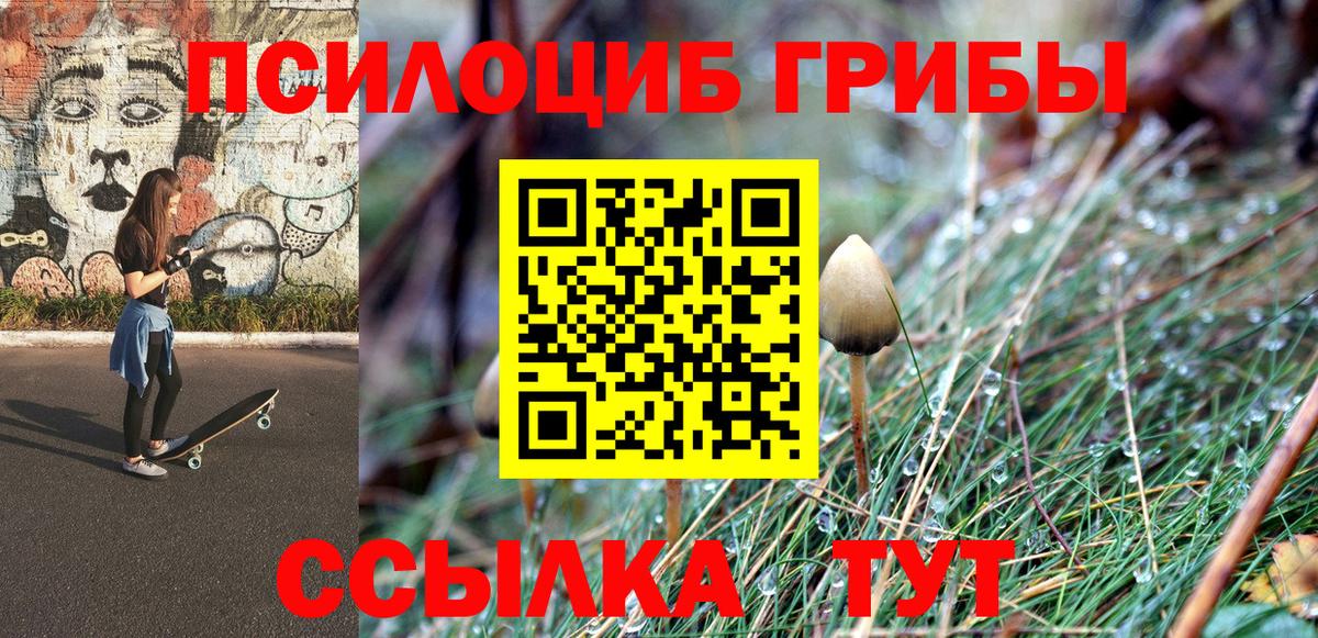 Энгельс  Галлюциногенные грибы мухоморы  Псилоцибиновые грибы Magic Shrooms  Вход с VPN 
